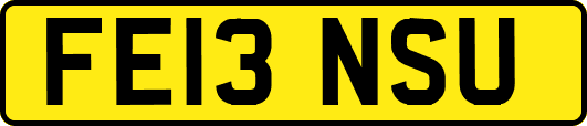 FE13NSU