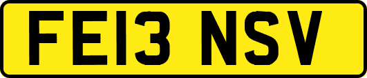 FE13NSV