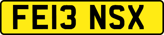 FE13NSX