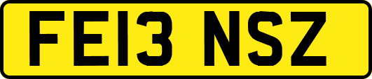 FE13NSZ