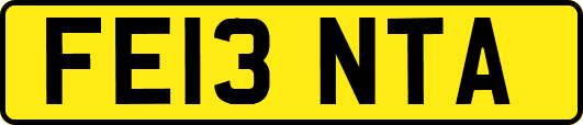 FE13NTA