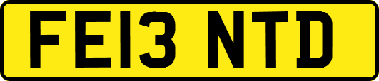FE13NTD