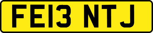 FE13NTJ