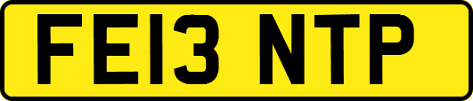 FE13NTP