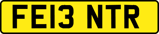 FE13NTR