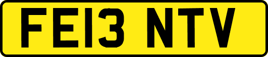 FE13NTV