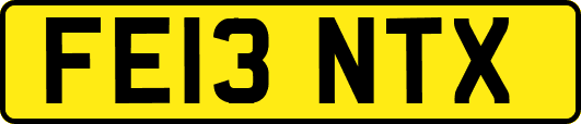 FE13NTX