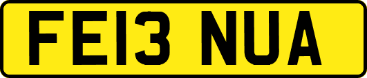FE13NUA