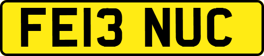 FE13NUC