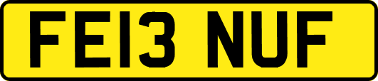 FE13NUF