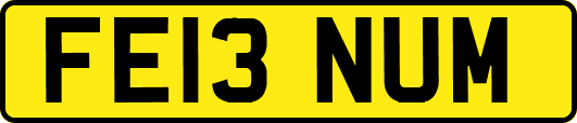 FE13NUM
