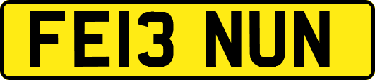 FE13NUN