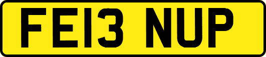 FE13NUP