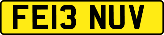 FE13NUV