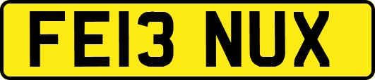 FE13NUX