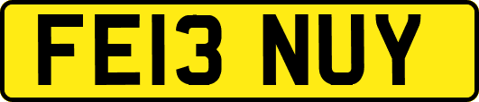 FE13NUY