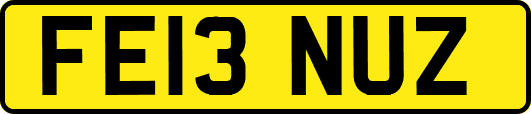 FE13NUZ