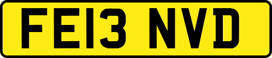 FE13NVD