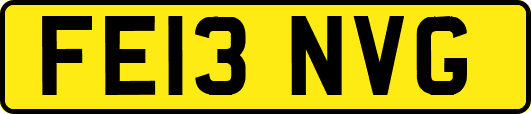 FE13NVG