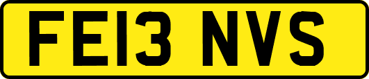 FE13NVS