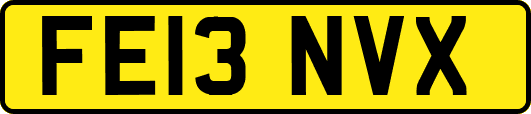 FE13NVX