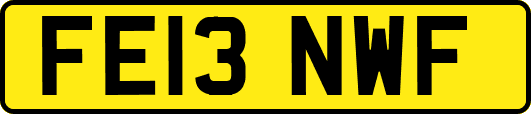 FE13NWF