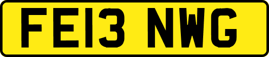 FE13NWG