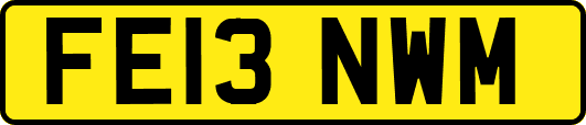 FE13NWM