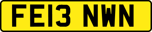 FE13NWN