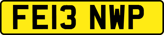 FE13NWP