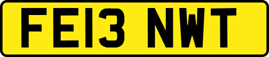 FE13NWT