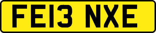 FE13NXE
