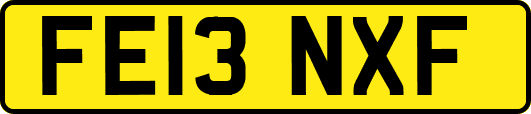 FE13NXF