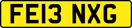 FE13NXG