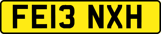 FE13NXH