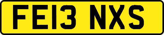 FE13NXS