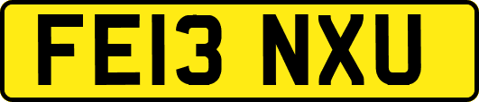 FE13NXU