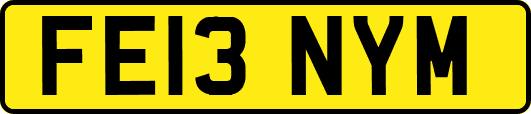 FE13NYM