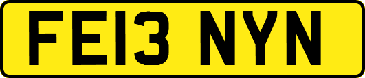 FE13NYN