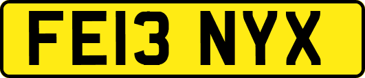 FE13NYX