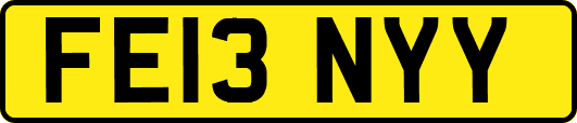 FE13NYY