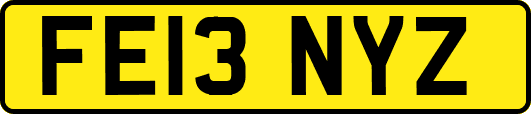 FE13NYZ