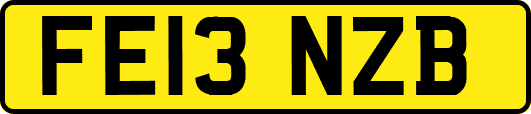 FE13NZB