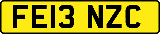 FE13NZC