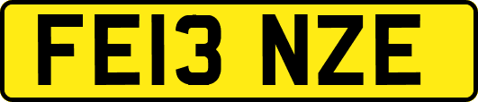FE13NZE