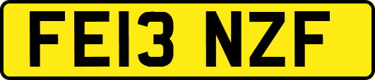 FE13NZF