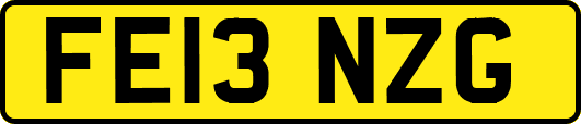 FE13NZG