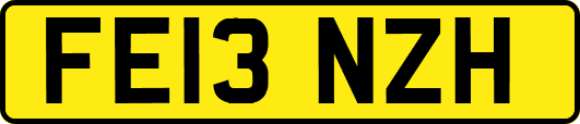 FE13NZH