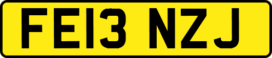 FE13NZJ