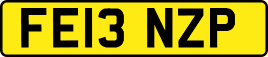 FE13NZP